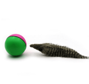Interactive Pet Play Water Toy Set-4