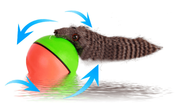 Interactive Pet Play Water Toy Set-3