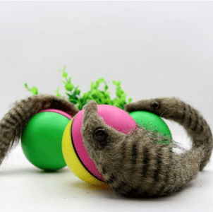 Interactive Pet Play Water Toy Set-1