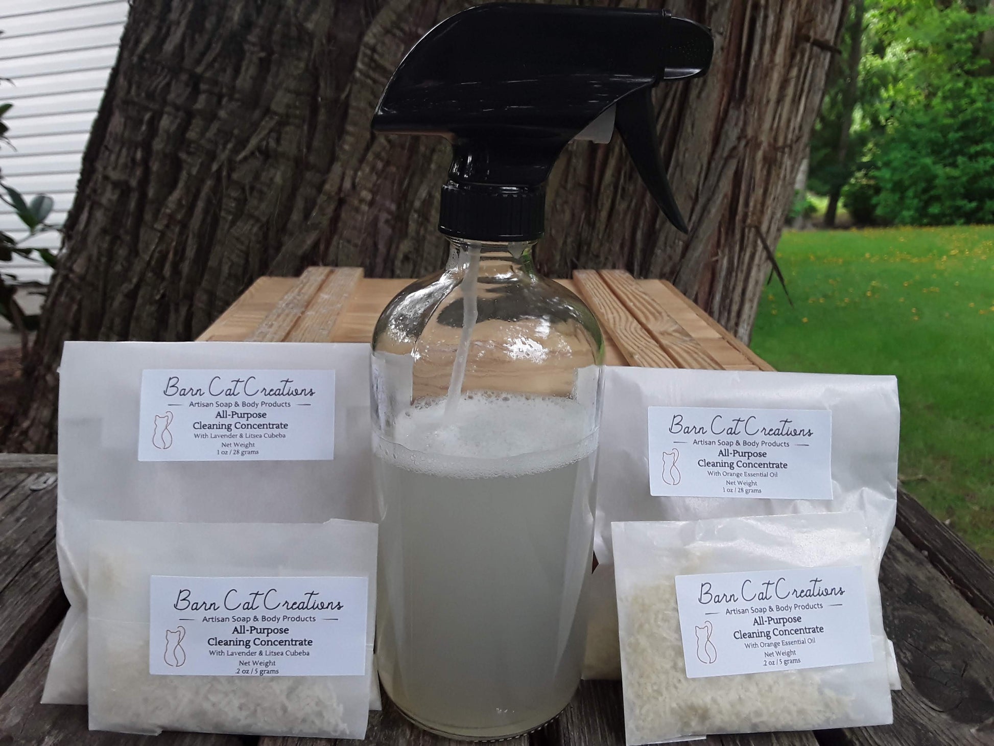 All-Purpose Cleaning Concentrate-1
