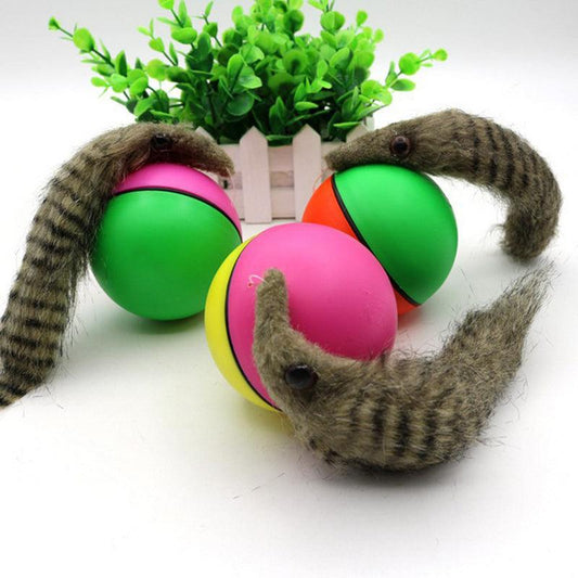 Interactive Pet Play Water Toy Set-0