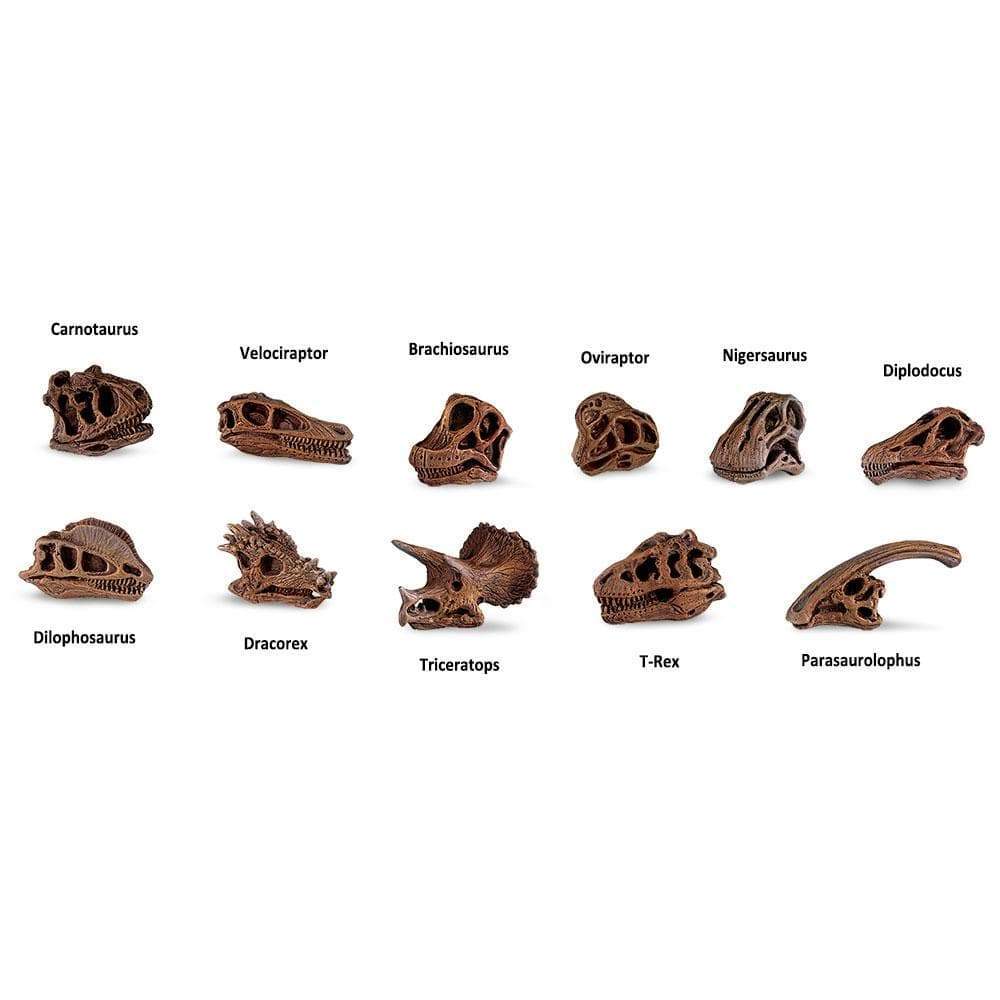 Dinosaur Skulls TOOB® Toy-3