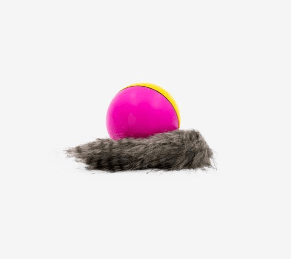 Interactive Pet Play Water Toy Set-2