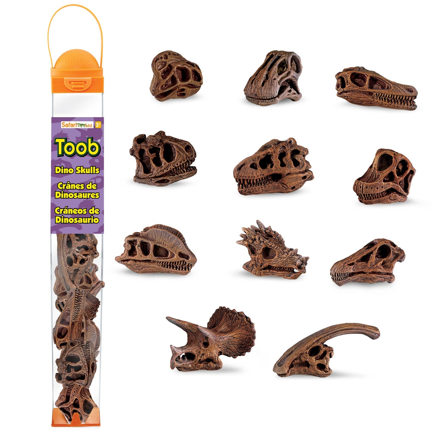 Dinosaur Skulls TOOB® Toy-0